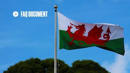 FAQ Wales flag.jpg