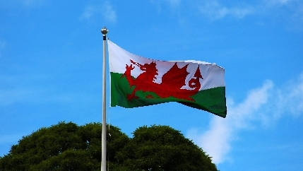 welsh flag.jpg