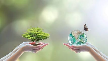 Tree and globe held in hands