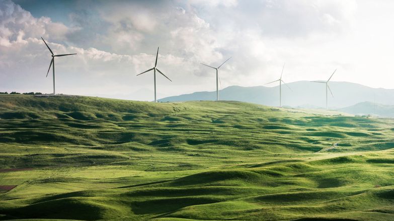 Wind turbines in field