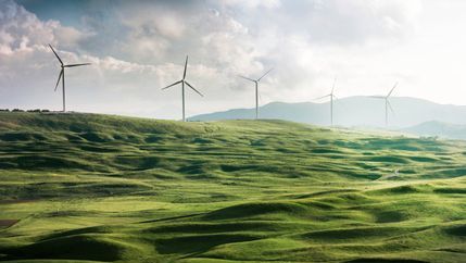 Wind turbines in field