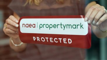 NAEA Propertymark window sticker