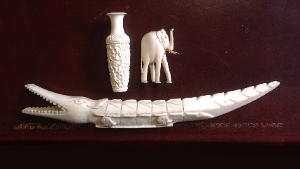 ivory scheme submission.jpg