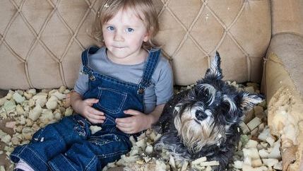 Children and pet damaging sofa
