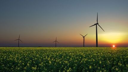 Alternative energy.jpg