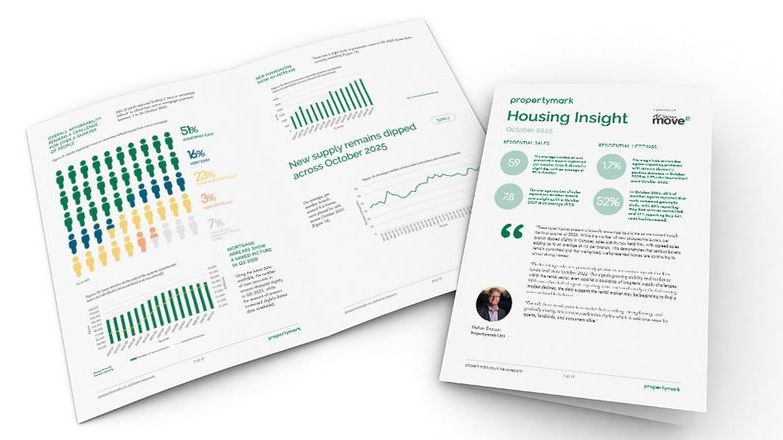 Housing Insight Report October 2025.jpg