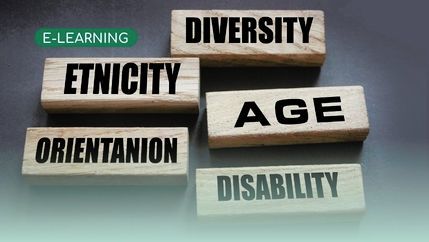 eLearning, equality diversity blocks.jpg