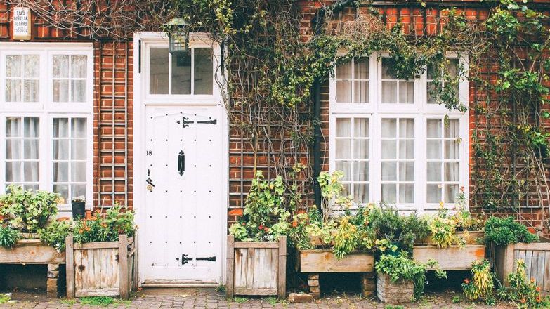 white door and vines.jpg