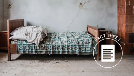 FS Dilapidated bed.jpg