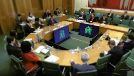 Timothy Douglas Head of Policy and Campaigns at Propertymark giving evidence at a HGLC committee meeting 