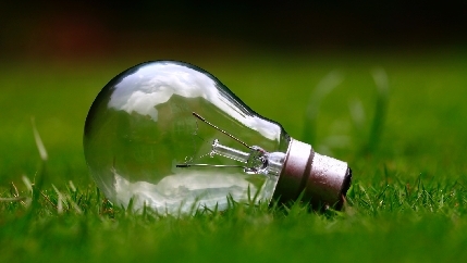 Light bulb on grass.jpg
