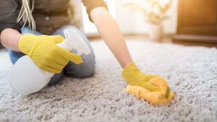 Person cleaning a carpet