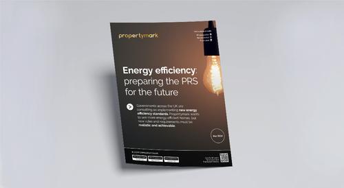 Publication cover: Energy efficiency, preparing the private rented sector for the future