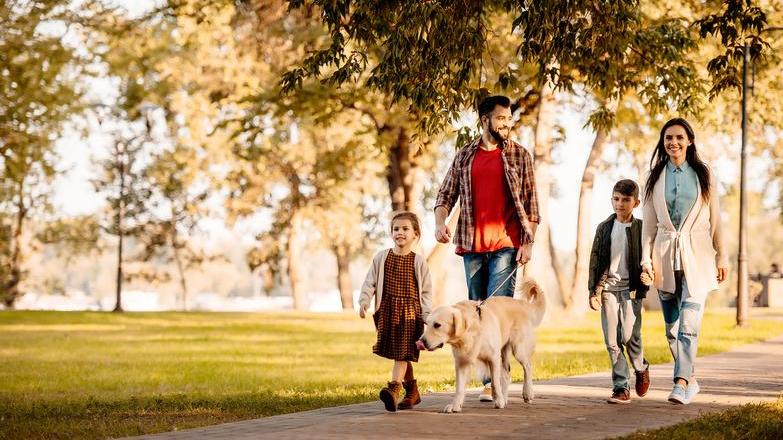 Family walking the dog in a park