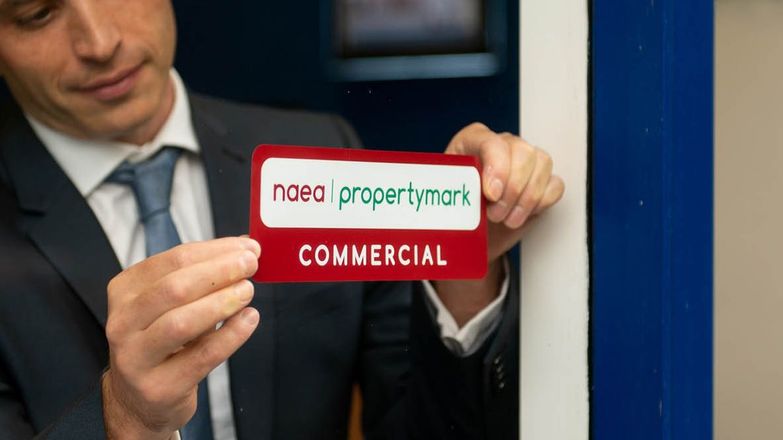 NAEA Commercial window sticker