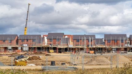 Building houses.jpg