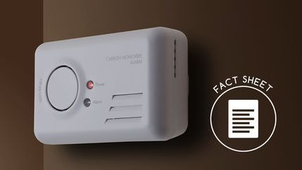 FS Carbon monoxide alarm.jpg