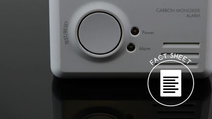 FS Carbon monoxide detector.jpg
